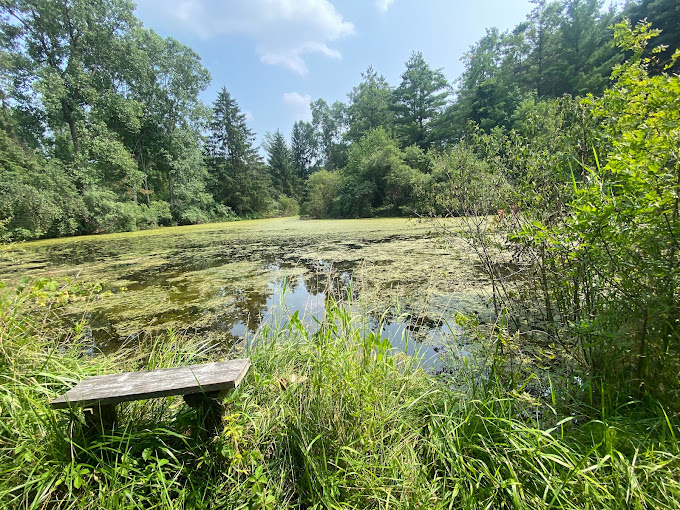 Visit Sutherland Nature Sanctuary Metamora