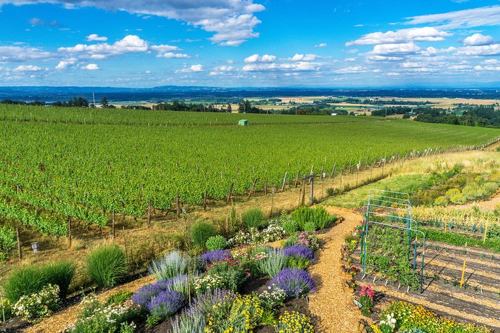 Top 10 Things to Do in Albany, Oregon